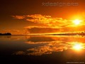 desktop-XD-nat_26